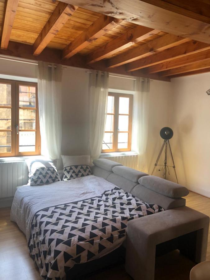 Le Double Pirou # 2 Appartements # Halte Auvergne Thiers Kültér fotó